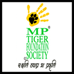 Tiger Foundation - logo